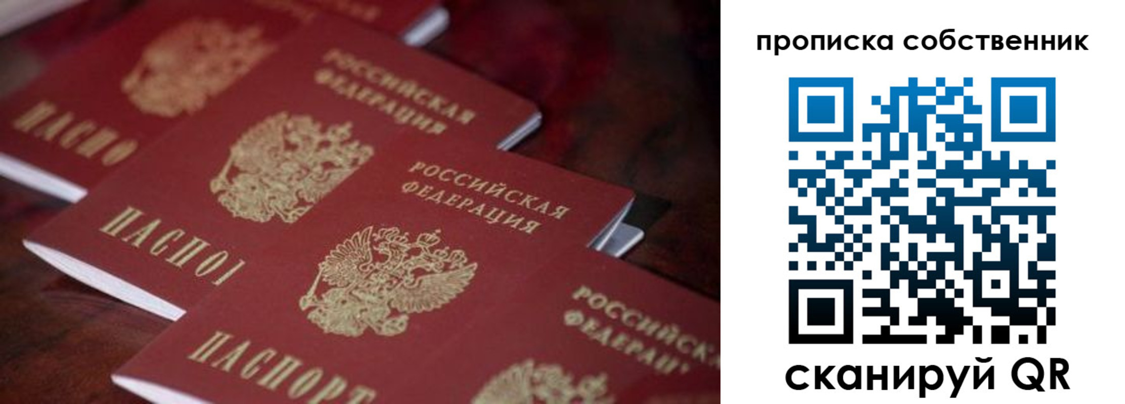 купить прописку в Борзе